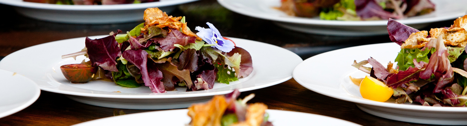 CATERING DELITES